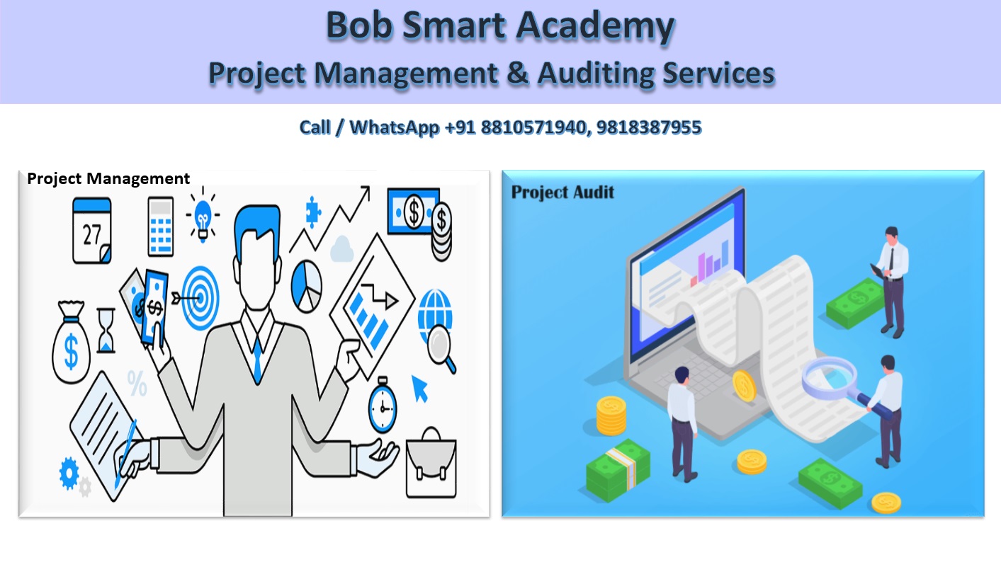 Project Management & Auditing Services